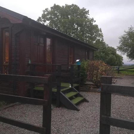 Stay With Your Pet Killarney Exterior foto